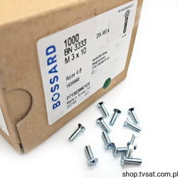 1536966 M3X10/BN3333 DIN965A SCREW BOSSARD