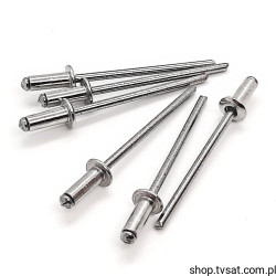 30AS3208SP 3.2x8mm/ISO15977 Rivet RIVET BUFAB