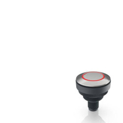 RAFI 1.11.011.801/0300 RAMO 30 T Pushbutton Momentary 35V 0.1A