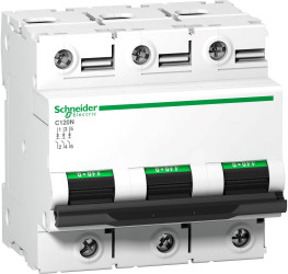 Schneider Electric A9N18350 A9N18350 Wyłącznik automatyczny 100 A 375 V/DC