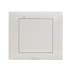 Exta Free - Radiowy nadajnik klawiszowy 2-kanałowy - RNK-02 - biały