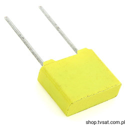 BQ014E0223KDC 22nF 100V 10% MKT R=5mm R5.08 TPC-AVX