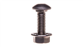 Śruba Z Łbem Grzybkowym + Nakrętka Btrcc6/20S4 Cm801018 /100Szt./