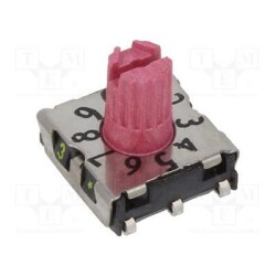55P25SMJ301H
