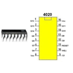 4020