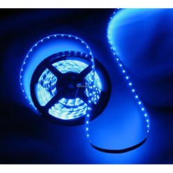 taśma LED 3528 niebieska wodoodporna 1m