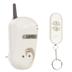 Gniazdo zdalnie sterowane z pilotem RWG-01K EXTA FREE