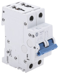 Wyłącznik nadprądowy MCB, Typ B, 2-biegunowy, 10A, 277V, 96V, na szynę DIN, Allen Bradley, 1492-SPM