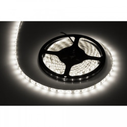 TASMA LED REBEL 300X5050 SMD B.N. 12V