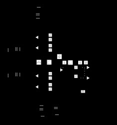 5GHz, 4-Channel MIMO Transmitter