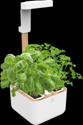 VBOT-EAWBA-B-66 Indoor herb garden, white