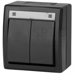 Łącznik świecznikowy podwójny natynkowy hermetyczny IP55 antracytowy 10AX Aquant 2K