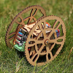 Flamewheel - A 2WD Remote Control Robot [Discontinued]