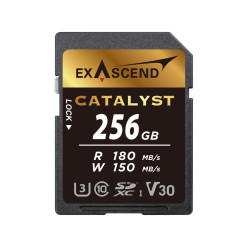 Karta SD SDXC, 256 GB, Exascend Catalyst