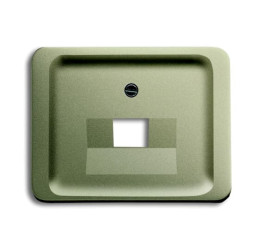 Płytka czołowa, RJ45, Szary