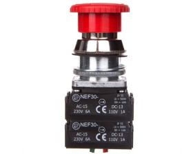 Przycisk bezpieczeństwa 30mm 2Z 2R IP56 przez obrót W0-NEF30-DRP 2X2Y C