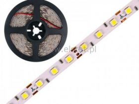 Sznur diodowy SMD zimny biały 5050 x 60 IP20 b.tło