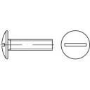 Śruby do ścian TOOLCRAFT 159308 M6 20 mm 500 szt.
