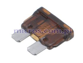 BsaUA07.5 BP BsaUA07.5 BP