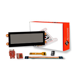 SK-pixxiLCD-39P4-CTP