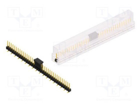 SL10SMD06236.GBSM