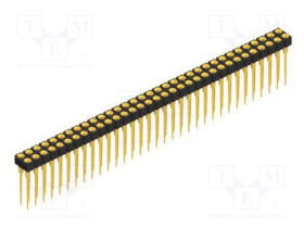 MK.213.X.1.66.G