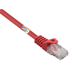 Renkforce RF-5043992 Network cable RJ45 CAT 5e Red 0.25 m with detent