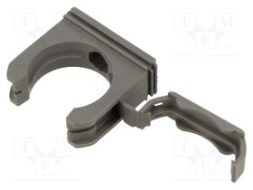 LP-65500636