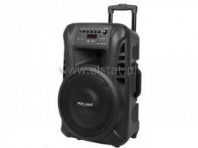 Kolumna estradowa moc ciągła 40W ( na zamówienie )