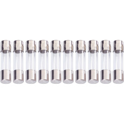ESKA 522417 Super Time Delay Ceramic Micro Fuse 5 x 20mm 1A 250V, Packs of 10
