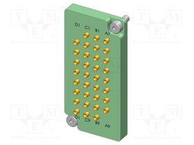 IGN-31009