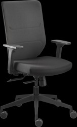 9247 SY1 Dauphin to-sync comfort task