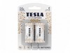 BAT-LR14G/TESLA-B2