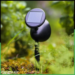 3x Lampa Ogrodowa LED Solarna Wbijana Czarna Kierunkowa OGA Reflektor IP44 6500K LUMILED