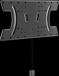 HL 29 L OLED TV bracket