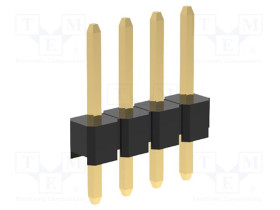 G800W304018E-AMP-0