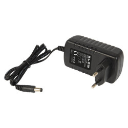 Zasilacz ZI 24V/1A/24W 2,1/5,5 Impulsowy wtyczkowy