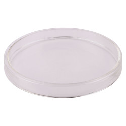 LabGlass Petri Dish, Borosilicate Glass, Outer dia 150 x 20mm Height