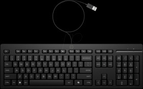 AY2Y7AA#ABD Keyboard, USB, black, QWERTZ