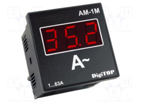 AM-1M