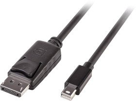 adapter Mini DisplayPort, DisplayPort