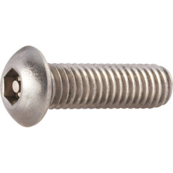 Toolcraft 88113 Security Hex Socket Mushroom Head Screws A2 M6 x 25mm Pack Of 10