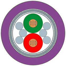 Kabel do transmisji danych 50.26 mm² 2 -rdzeniowy Ekranowany PUR 80 V PROFIBUS