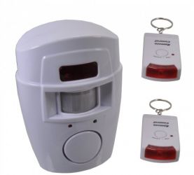 CZUJNIK RUCHU+2 PILOTY