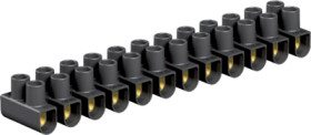 Lustre terminal, 12 pole, 4.0 mm², clamping points: 12, black, screw connection, 32 A, 2056089