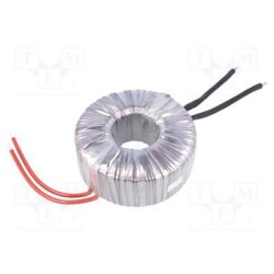 TST600W/12V