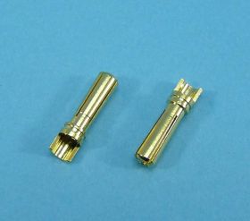 WT.BANAN.GC4013-MC 36/70A AMASS