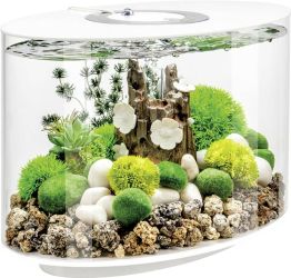 OASE biOrb 86414 biOrb LOOP 15 LED weiß Akwarium EEK: G (A - G) 15 l z Podświetleniem LED