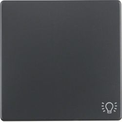 Klawisz z nadr. symb. "światło" łącz. 1-kl., antracyt, aks