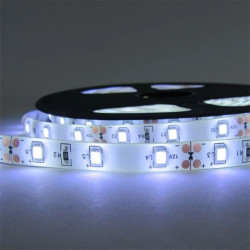 Taśma LED 2835 60 diod/m 24W 4,8W/m 12V IP63 CW 6500K /5m/